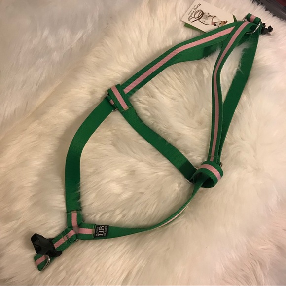 Harry Barker Watermelon Dog Collar and Harness Set - Picture 2 of 3